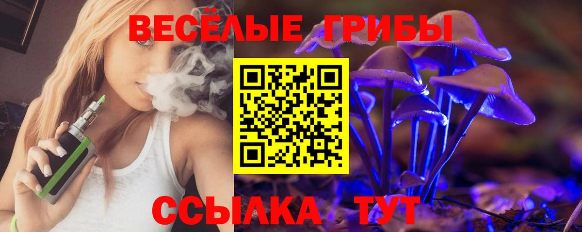 Горно-Алтайск  Галлюциногенные грибы Cubensis  Галлюциногенные грибы мицелий  Вход с VPN 